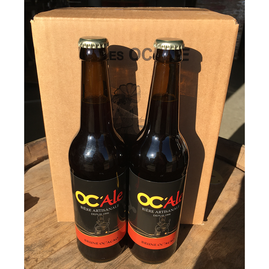 Carton 6 Brunes 50cl